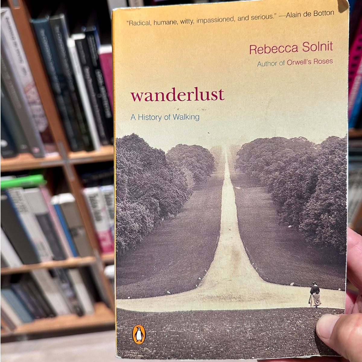 Wanderlust: A History of Walking by Rebecca Solnit