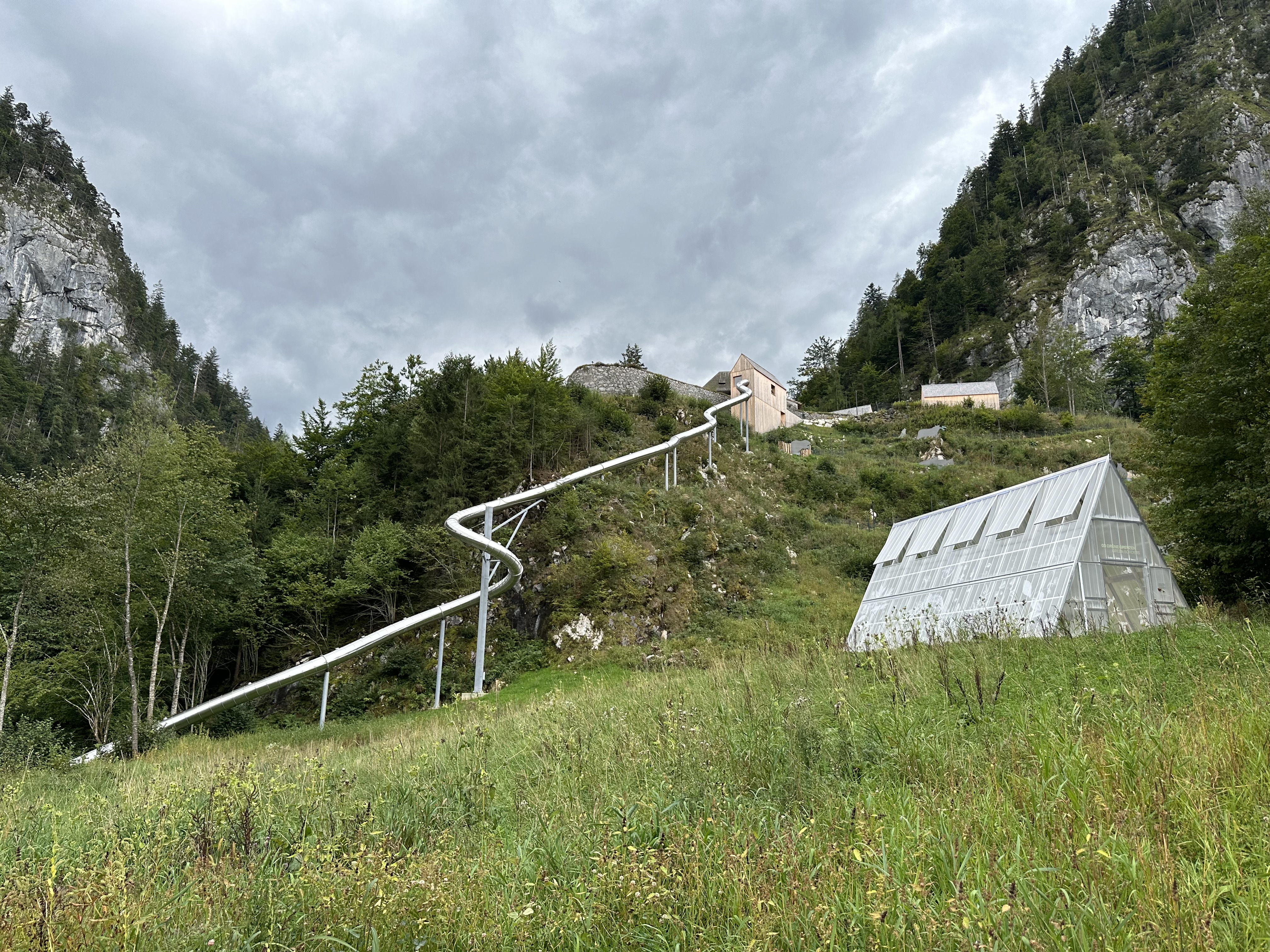 a giant alpine slide