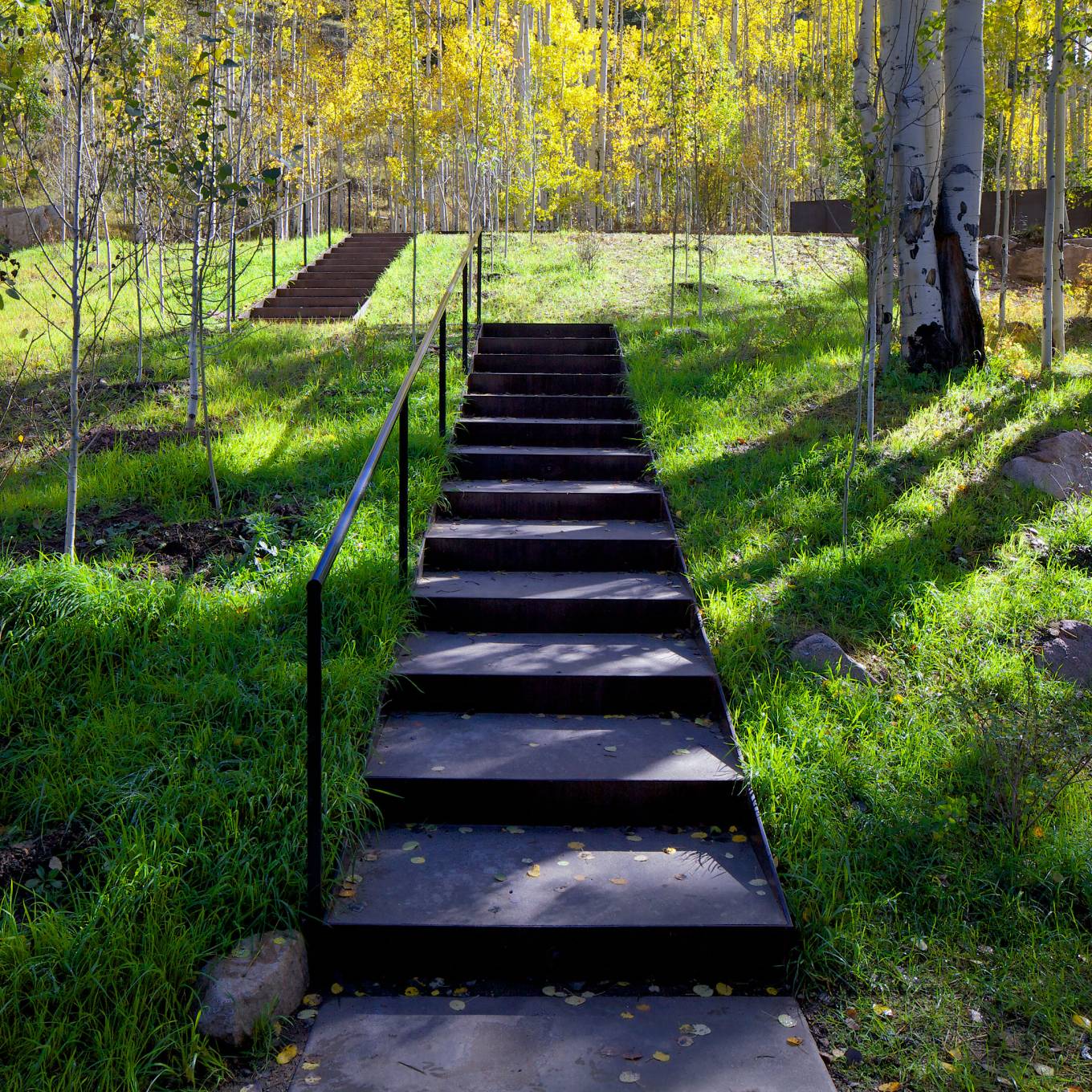 a simple stair weaves its way through the trees to the front door.