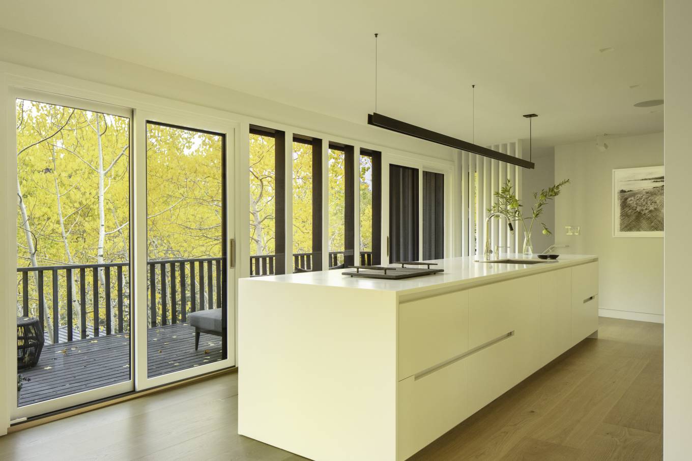 This project features a Vesel Brand designed kitchen, Dinesen wide-plank flooring from Denmark, Miele appliances, Dornbracht plumbing fixtures.